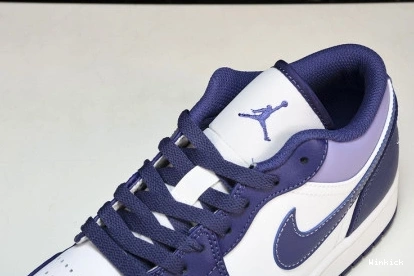 “Covered Jordan Tones” Low 1 Purple 553558-515 0731